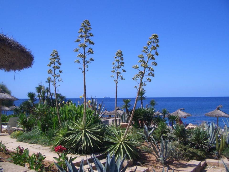 Aussicht Bikini Island & Mountain Hotel Es Trenc