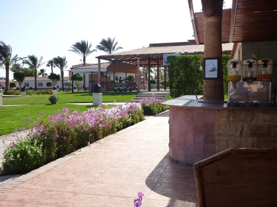 Gartenanlage Beach Albatros Resort