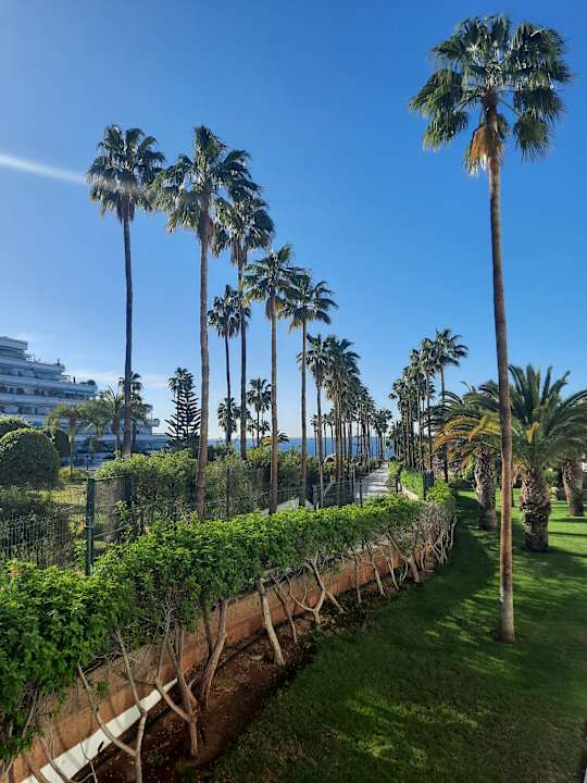 Gartenanlage Hotel Riu Palace Tenerife