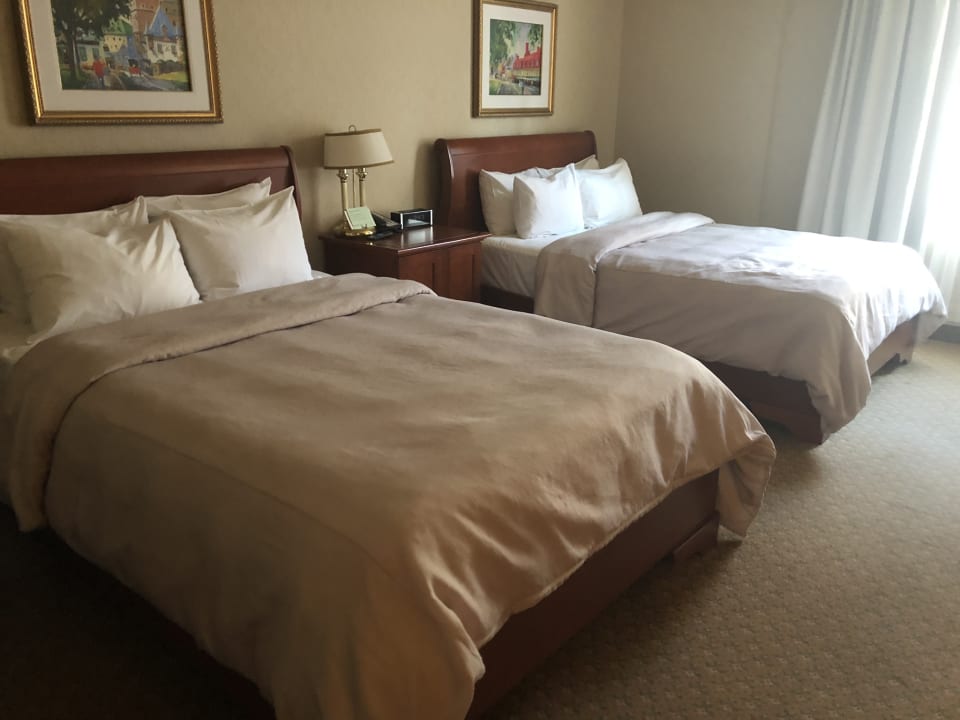 Zimmer Hotel Chateau Laurier