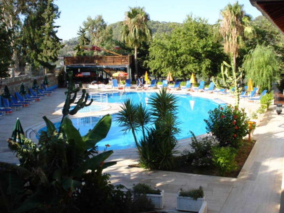 Poolausblick Hotel Meri