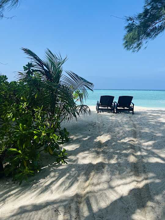 Gartenanlage Summer Island Maldives