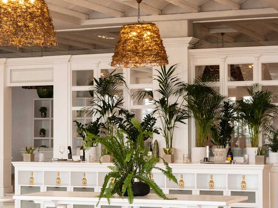 Sonstiges Mykonos Blu A Grecotel Resort To Live