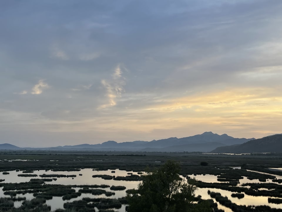 Ausblick Prinsotel La Dorada