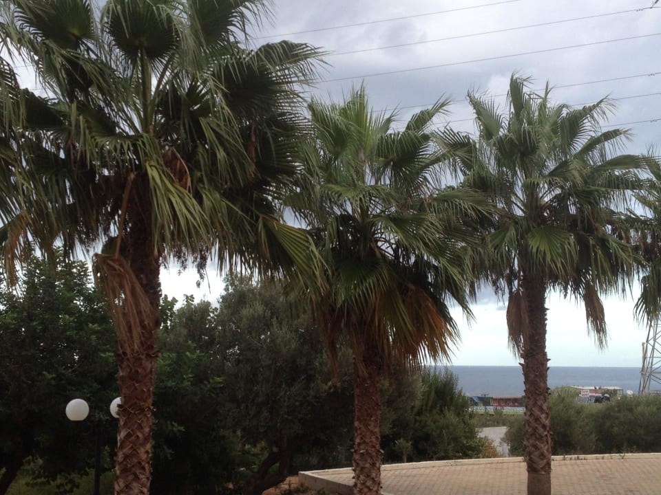 Nach Zimmertausch tolle Aussicht Royal & Imperial Belvedere Resort