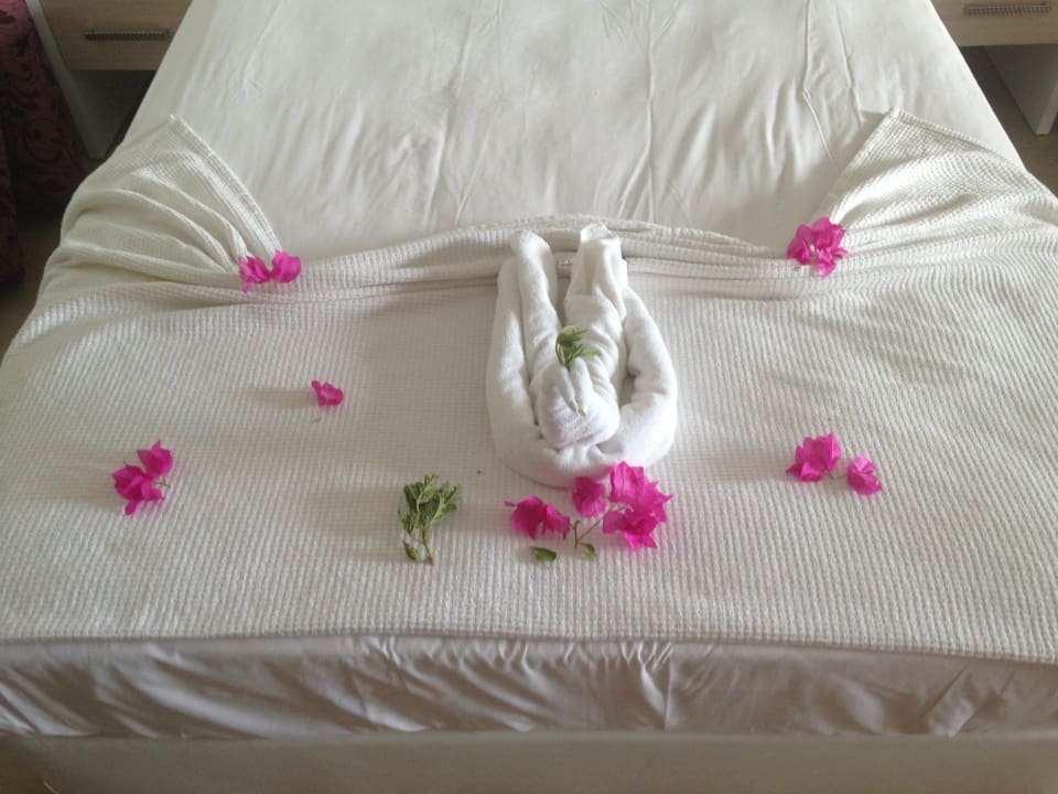 So nett das Bett Sultan of Dreams Hotel & Spa
