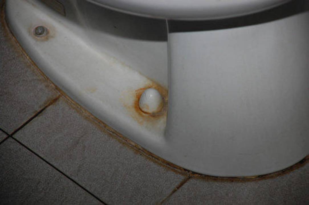 WC Gallery Hotel Kresna