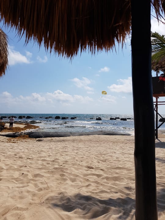 Strand El Dorado Royale
