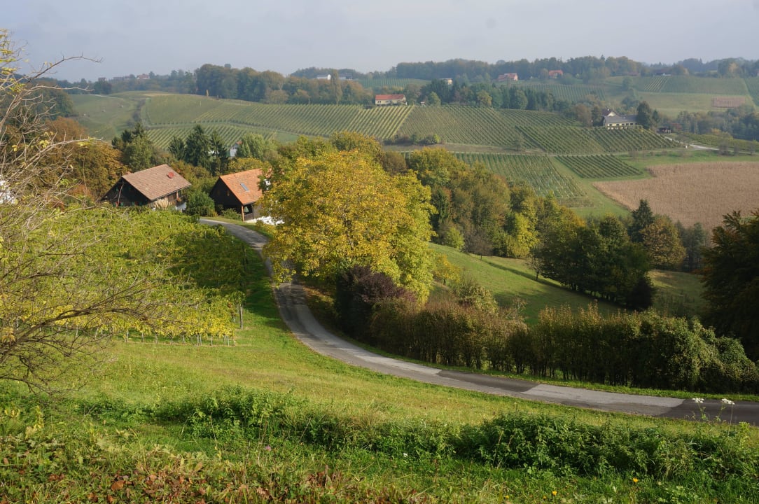 Die Häuser Weingut und Gästezimmer Pongratz