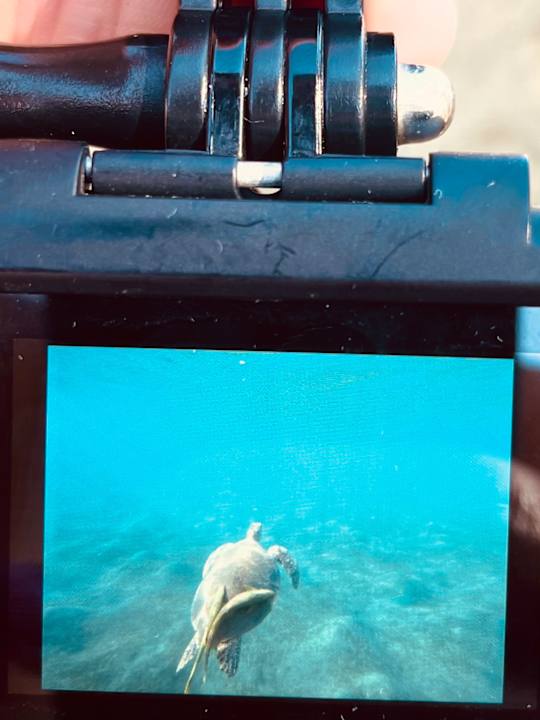 Strand Lahami Bay Beach Resort