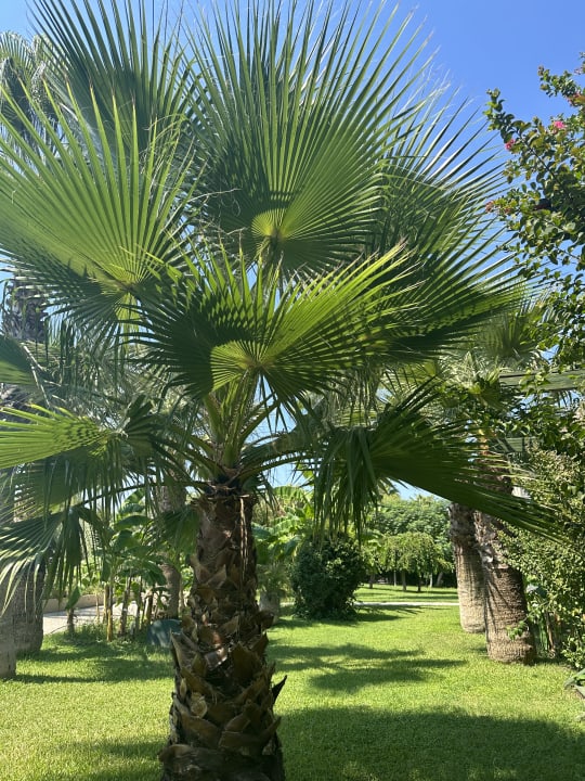 Gartenanlage Bella Resort & Spa