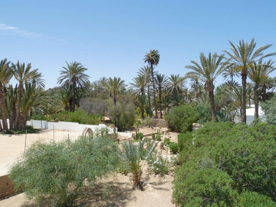 Ansicht 1 Weg zum Strand Hotel Sangho Club Zarzis