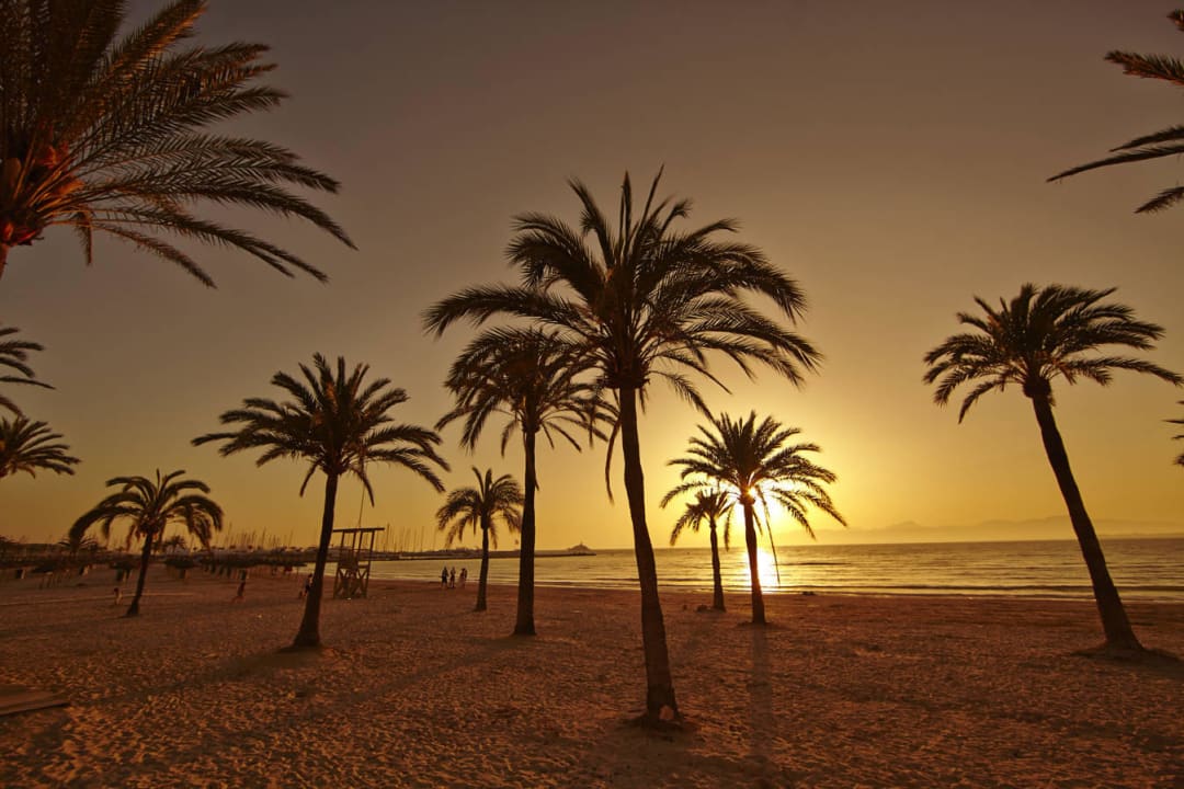 Beach MLL Palma Bay Club Resort