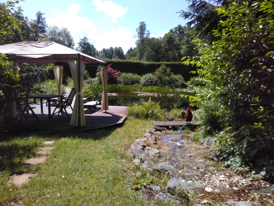 Pool Pension Die Mühle