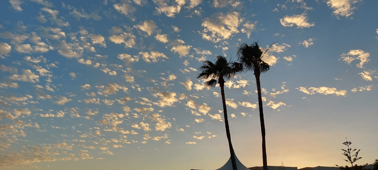 Ausblick TUI KIDS CLUB Punta Prima