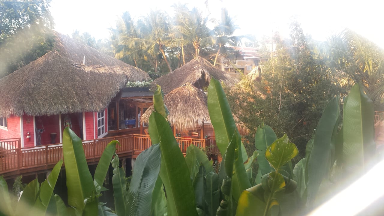 Ausblick Hotel Viva Dominicus Palace by Wyndham-All Inclusive Resort