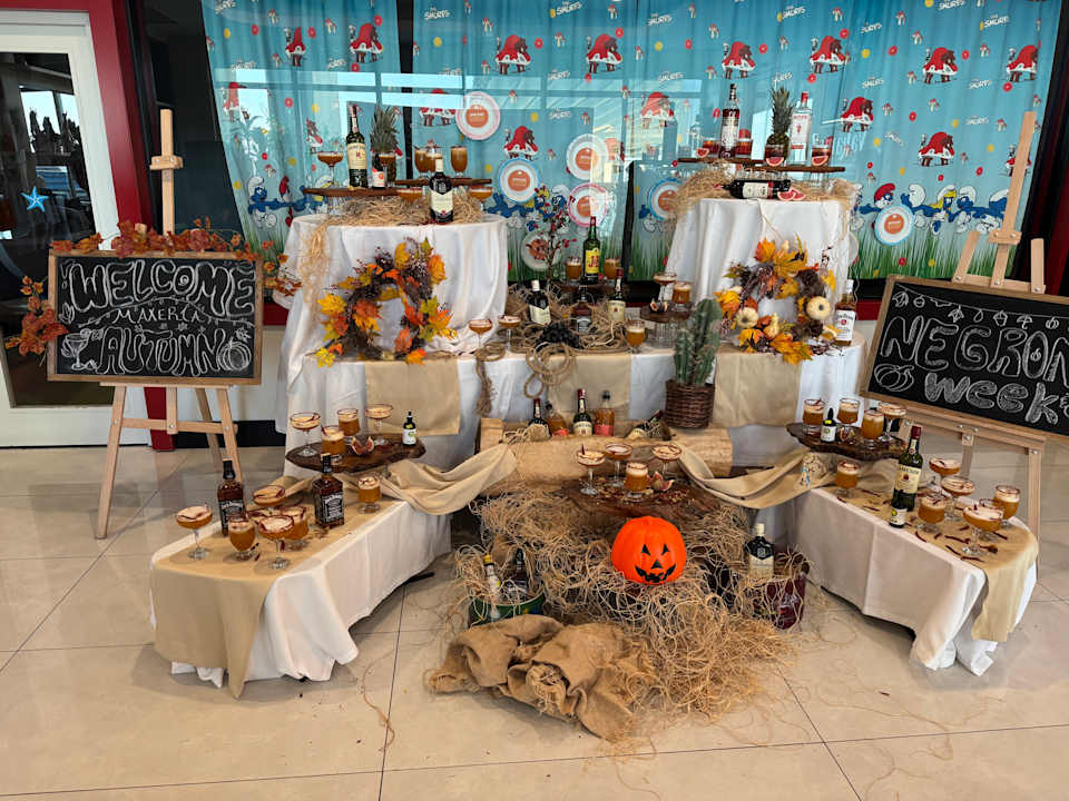 Gastro Maxeria Blue Didyma