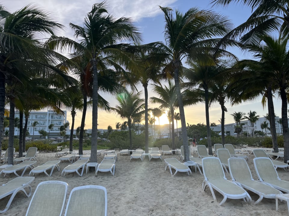 Strand Hotel Riu Dunamar