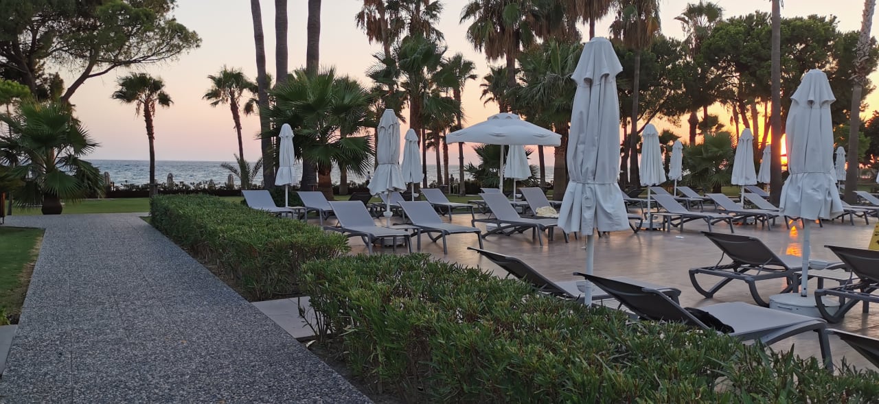 Pool Acanthus Cennet Barut Collection