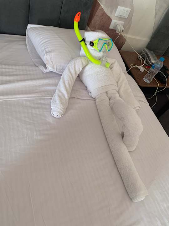 Zimmer Three Corners Sea Beach Resort