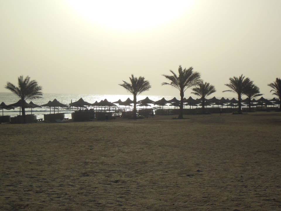 In der Früh Three Corners Sea Beach Resort