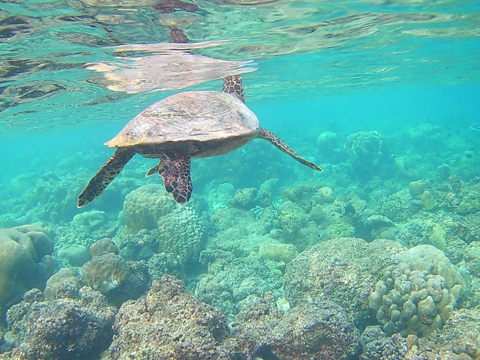 Sport & Freizeit Fihalhohi Maldives