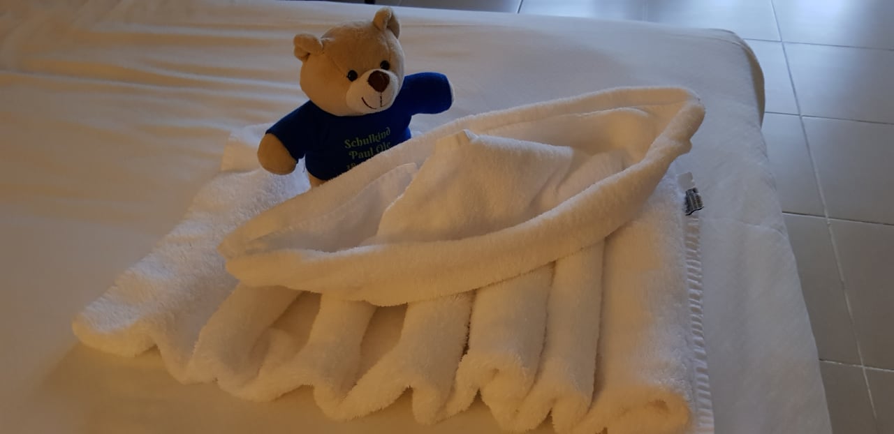 Zimmer Serenity Alma Heights