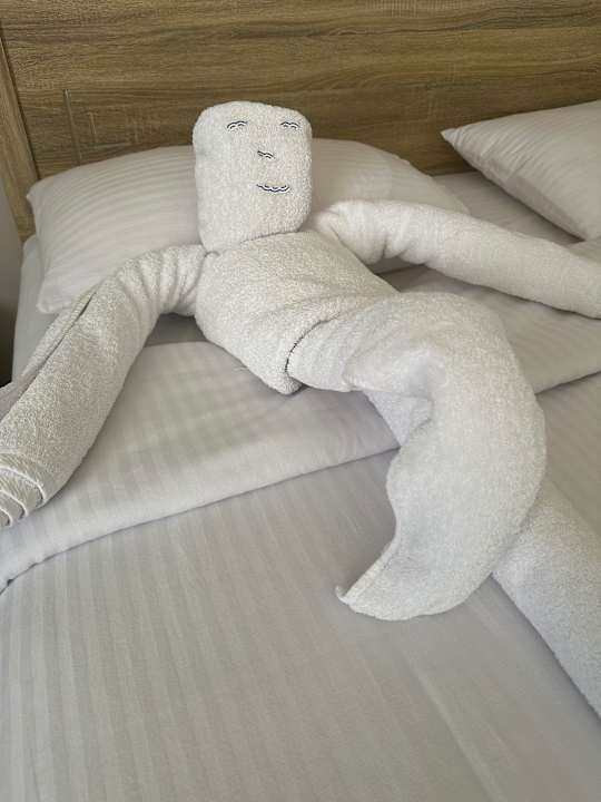 Zimmer Three Corners Sea Beach Resort