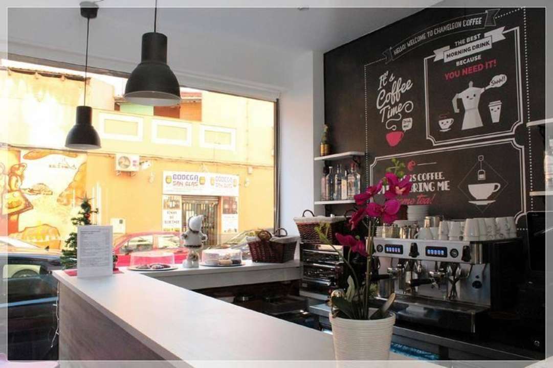 Recepcion Chameleon Hostel Alicante