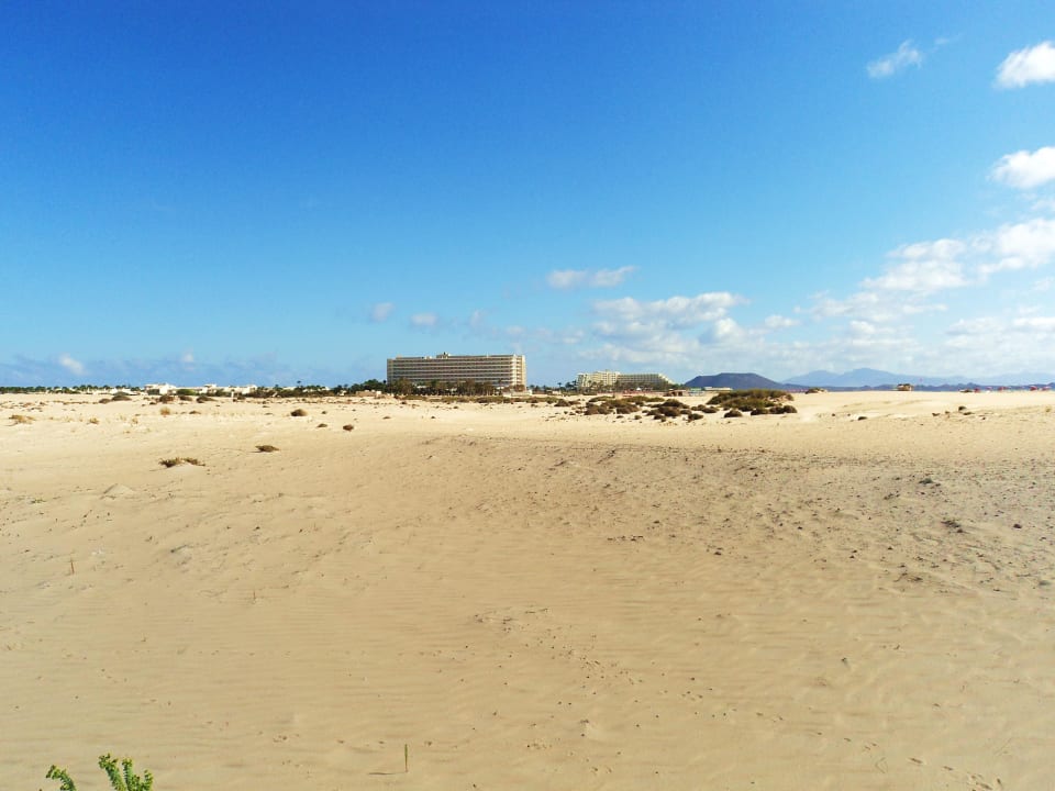 Widok z wydm Hotel Riu Oliva Beach Resort