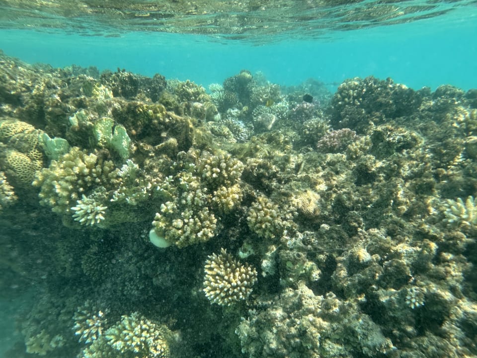 Strand The V Luxury Resort Sahl Hasheesh