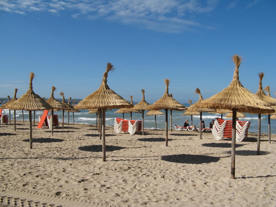 An einem Morgen im April Myseahouse Flamingo - Adults only