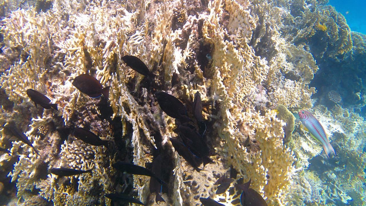 Sport & Freizeit Makadi Spa - Adults only