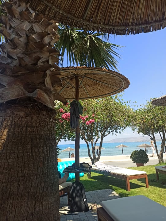 Gartenanlage Harmony Boutique Resort