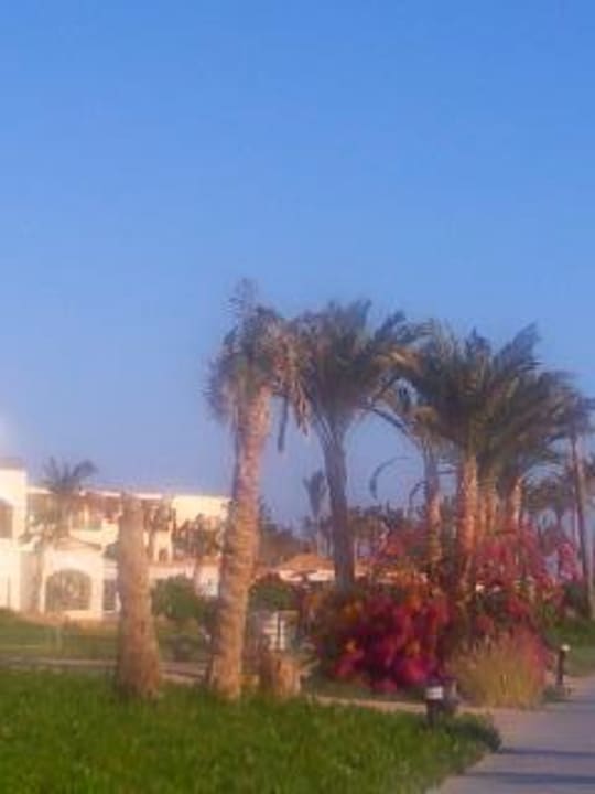 Dez 09 Pickalbatros Royal Moderna Resort-Sharm El Sheikh