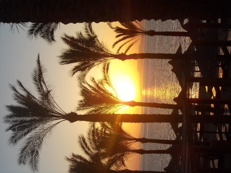 Strand bei Sonnenaufgang The Grand Hotel Sharm El Sheikh