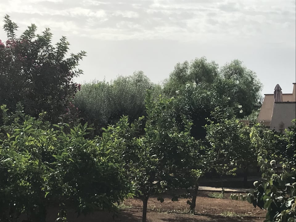 Gartenanlage Finca Sa Carrotja - Adults only