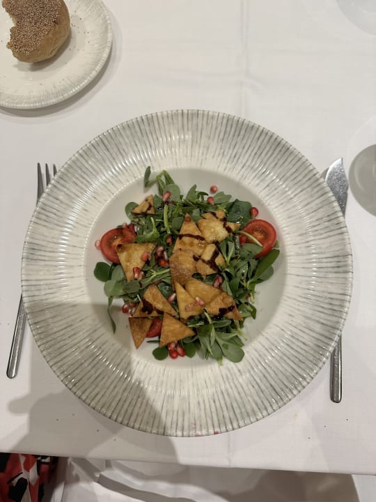 Gastro Papillon Ayscha