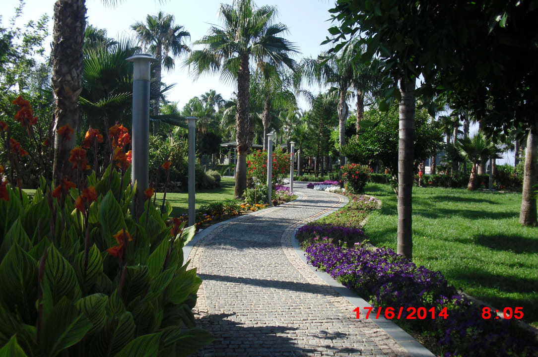 Schön angelegt  Arycanda Kirman Premium