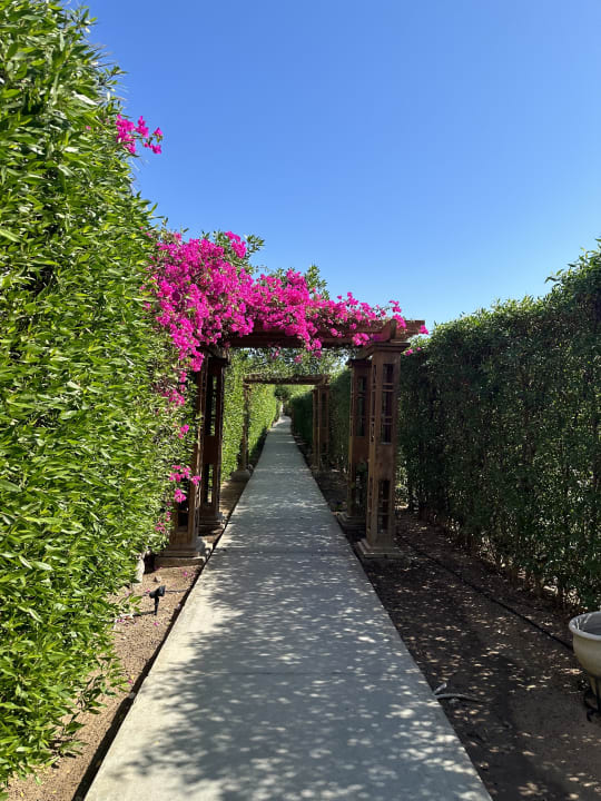 Strand Iberotel Casa Del Mar Resort