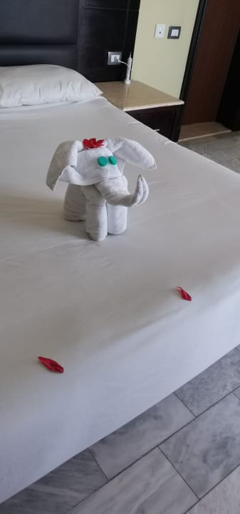 Zimmer Casa Mare Resort