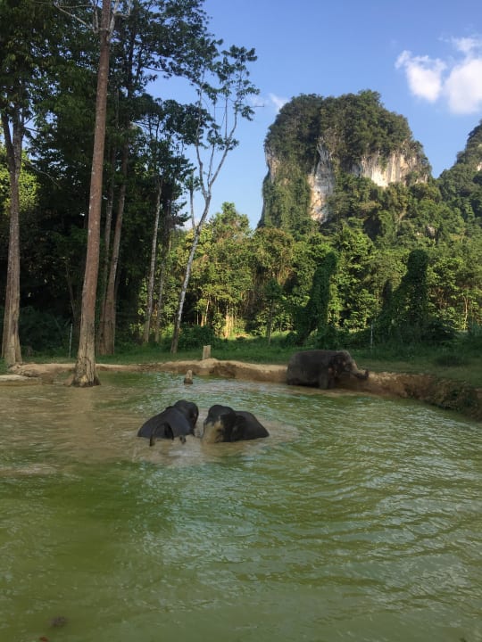 Elephantenbad Elephant Hills