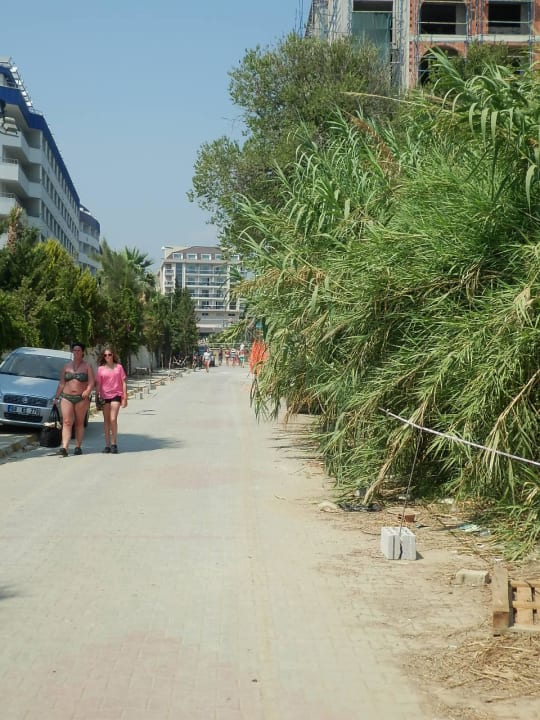 Weg zum Strand Dizalya Palm Garden