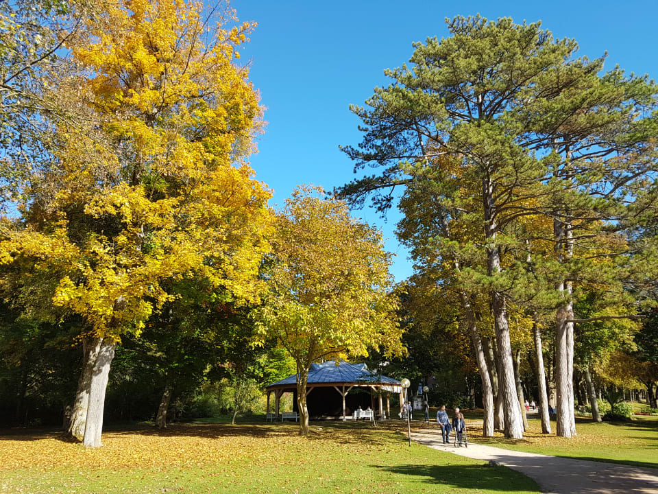 Sonstiges Vitalhotel König am Park