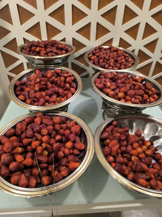 Gastro Pickalbatros Aqua Blu Resort - Hurghada