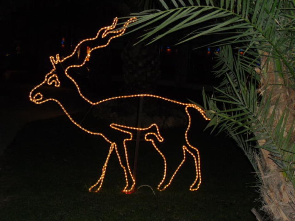 Abendmotiv Limak Limra Hotel & Resort