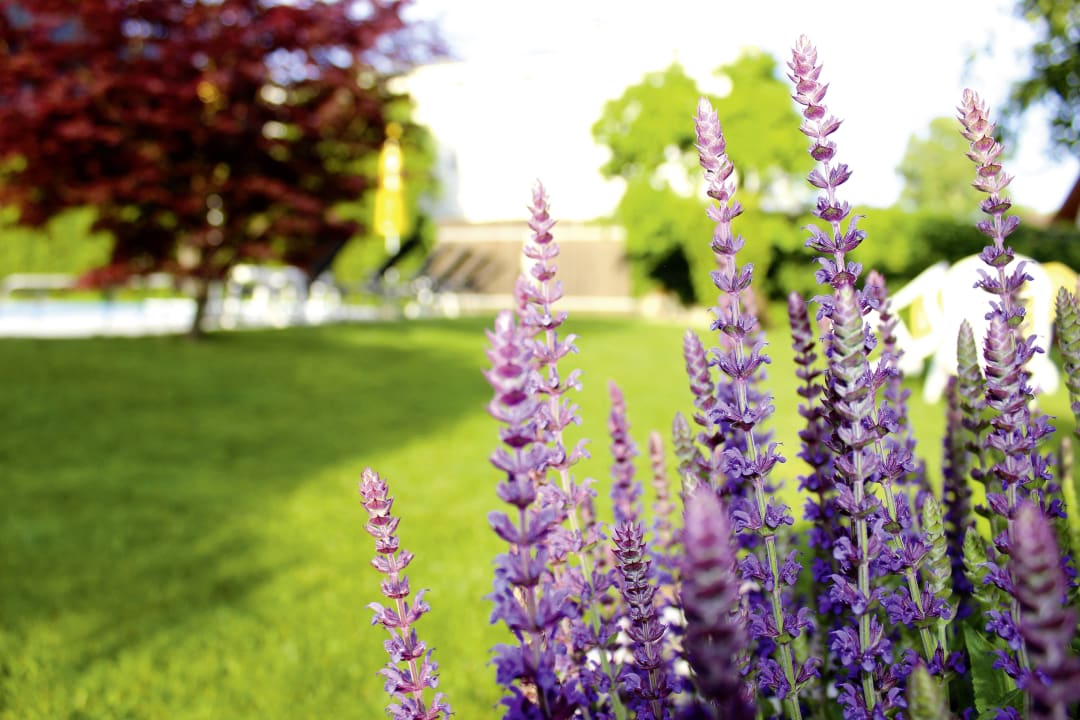 Garten Pension Sattlerenglhof