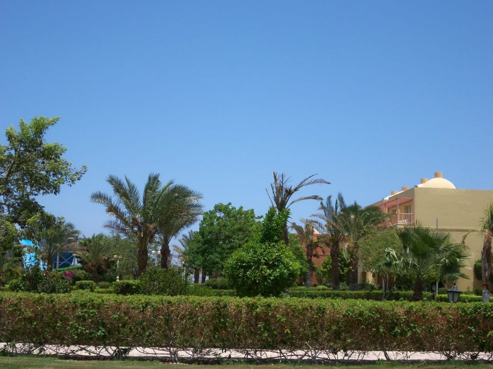 Ogród Titanic Beach Spa & Aqua Park