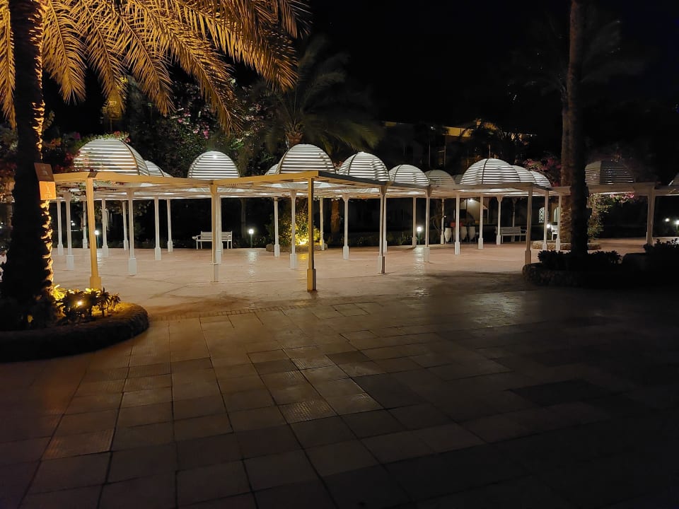 Außenansicht Desert Rose