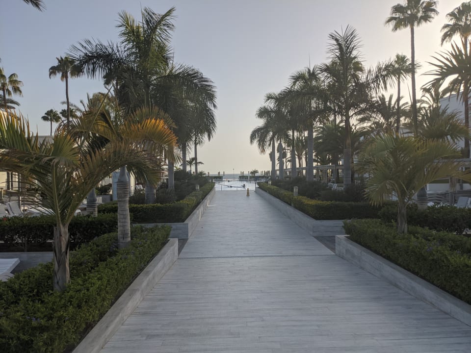 Gartenanlage Hotel Riu Palace Meloneras